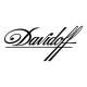 Purchase Fairings Australia for Davidoff Motorcycles