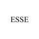Purchase Fairings Australia for Esse Motorcycles