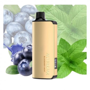 Alibarbar Ingot 9000 Puffs Vape - Blueberry Mint Australia
