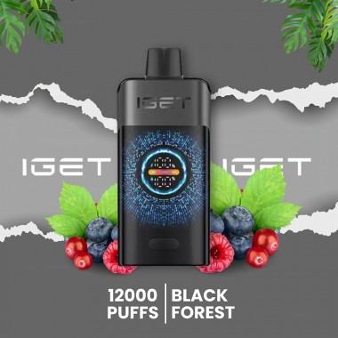 IGET One 12000 Puffs Vape - Black Forest Australia