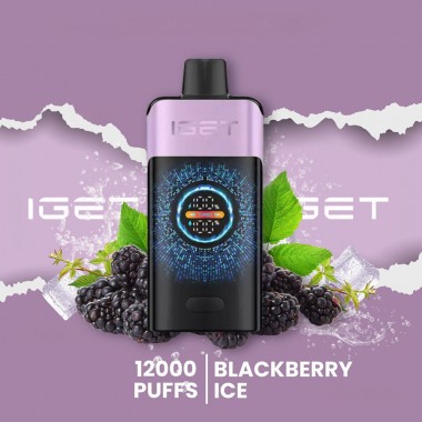 IGET One 12000 Puffs Vape - Blackberry Ice Australia