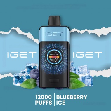 IGET One 12000 Puffs Vape - Blueberry Ice Australia
