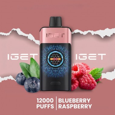 IGET One 12000 Puffs Vape - Blueberry Raspberry Australia
