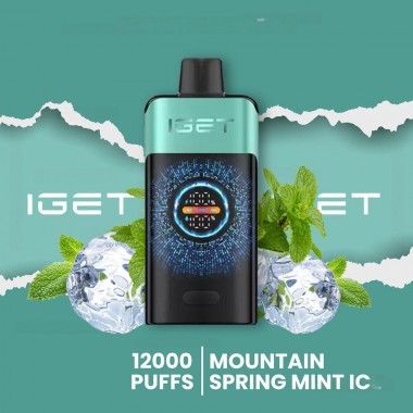 IGET One 12000 Puffs Vape - Mountainspring Mint Ice Australia